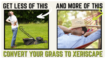 Grass to Xeriscape Graphic