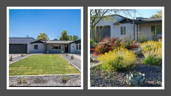 Grass-to-Xeriscape McVay