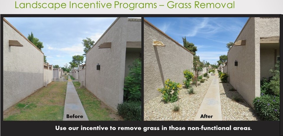 HOA Incentives grass removal