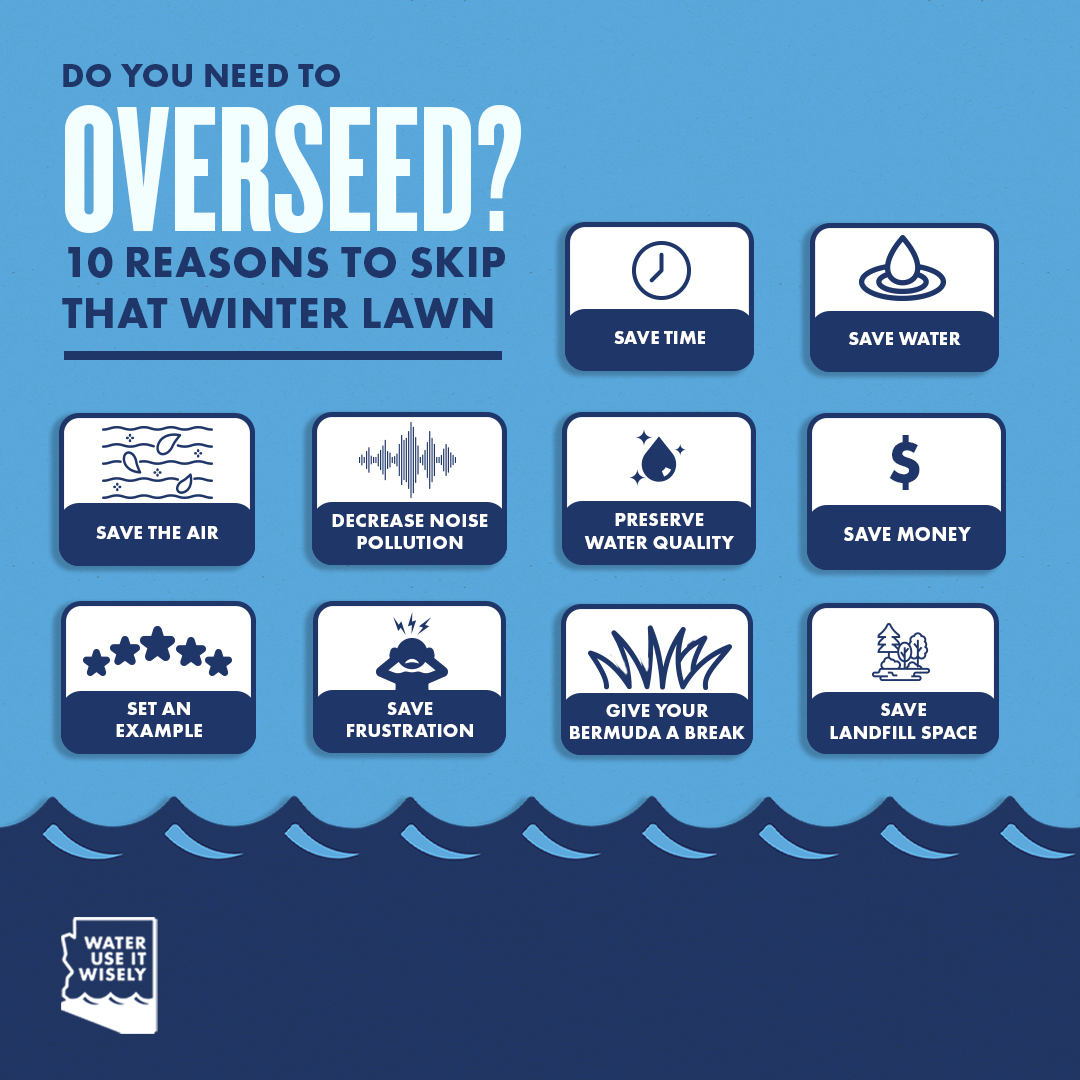 Overseed rye 10 reasons infographic