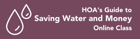 HOA's Guide to Saving Water and Money: Landscape Incentives and More (virtual class)