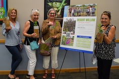 Tree Giveaway at Dobson Library