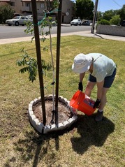 TAC Tree Planting Photo