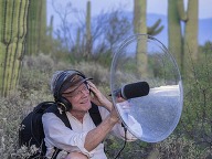 Sounds of the Sonoran Desert