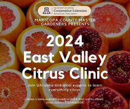 East Valley Citrus Clinic