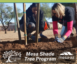 Mesa Electric Shade Tree