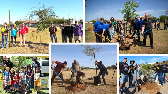 Tree Planting Pics Collage