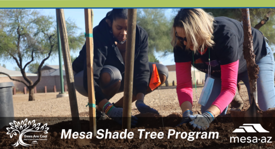 Electric Shade Tree Program