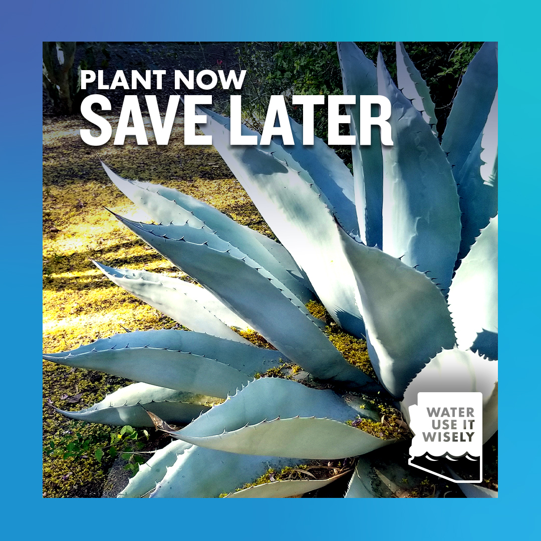 WPIW Plant Now Save Later