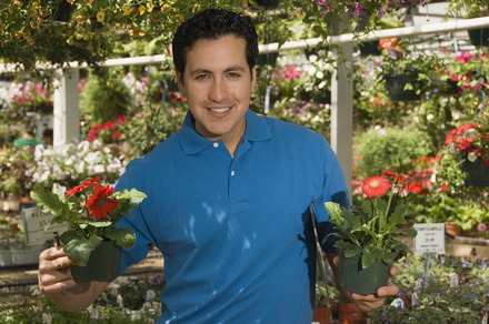 Small Business Man Gardening