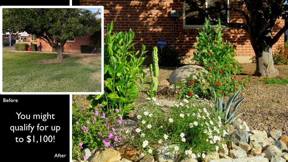 Grass to Xeriscape Incentive