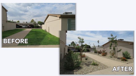 Grass to Xeriscape Commercial