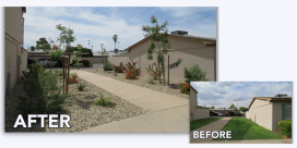 Commercial Xeriscape Incentives