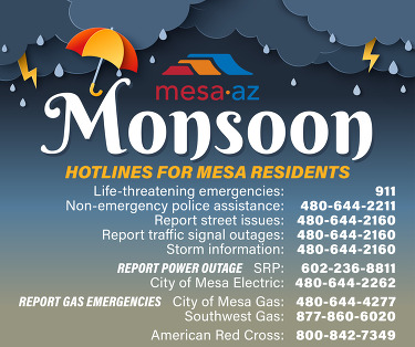 Monsoon hotlines 2024