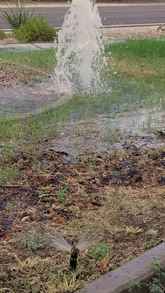 irrigation leak