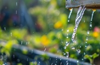 Rainwater harvesting