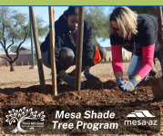 electric customer shade tree program