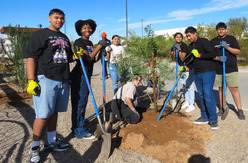 Desert Adapted Plants Group Photo