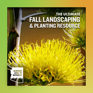WPIW fall planting
