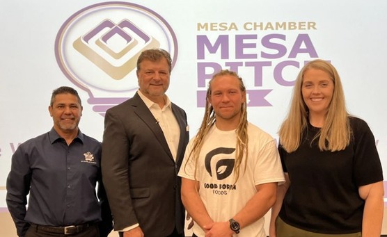 Mesa Pitch 2024