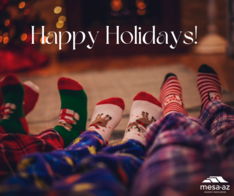 'Tis the season to spread holiday cheer and keep your loved ones safe!