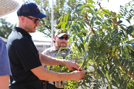 Get Answers Get Planting