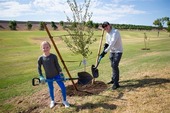 Tree Planting