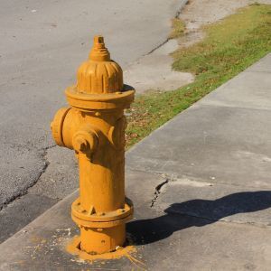 Fire hydrant painting