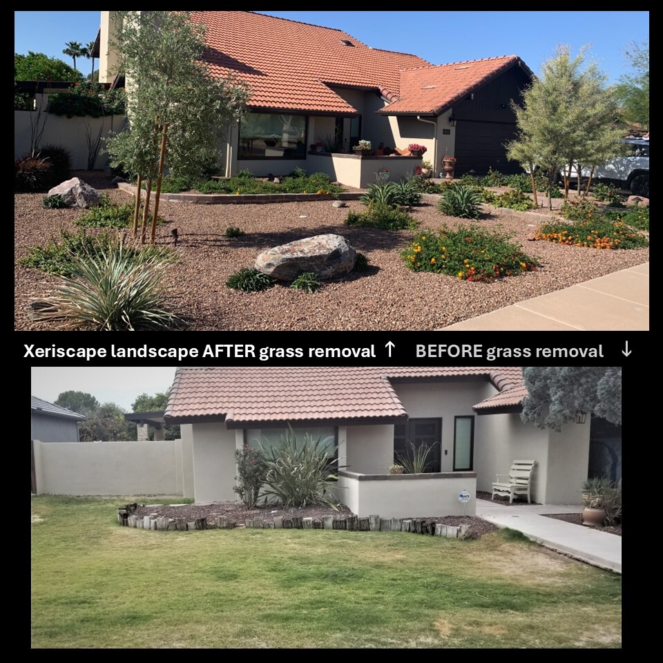 Grass-to-Xeriscape