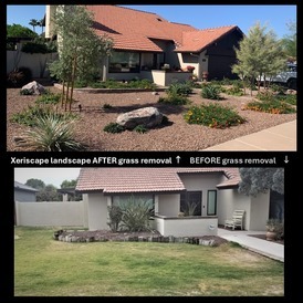 Grass to Xeriscape May