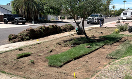 Sod Cutter Landscape