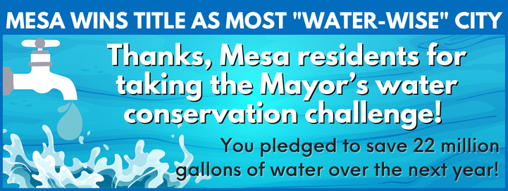 Mesa Wins Water Conservation Challenge