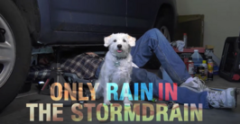 Only Rain in the Stormdrain