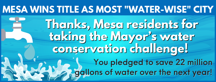 Wyland Mayors Challenge Winner