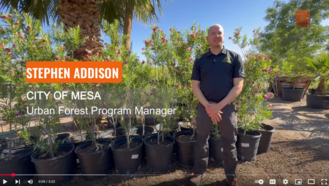 AZSA Tree Selection Video