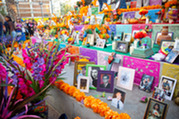 Dia de Los Muertos 2025