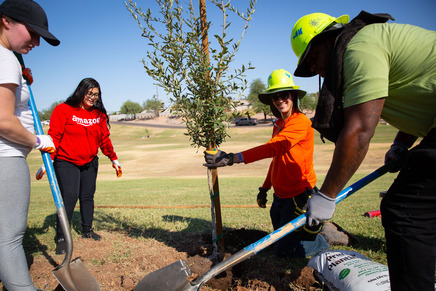 Tree Planting