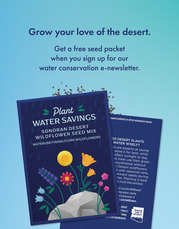 WUIW Seed Packet Promo