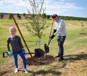Tree Planting Heritage