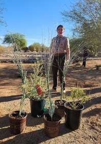 Monarch Waystation Morgan