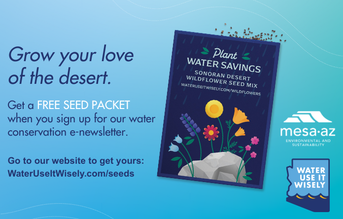 Wildflower Seed Packet Promo