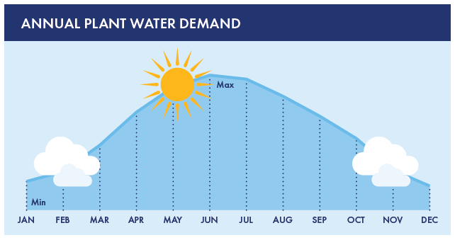 Annual Plant Water Demand