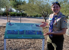 Morgan Monarch Waystation
