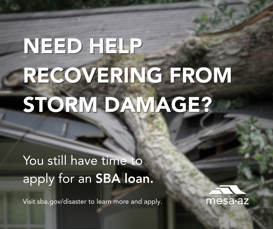 SBA loan extension