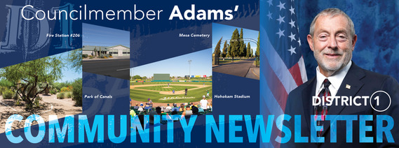 D1 Newsletter Banner