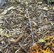 drip irrigation leak