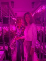 Councilmembers show strawberries grown in Urban Farm on ASU Poly campus.