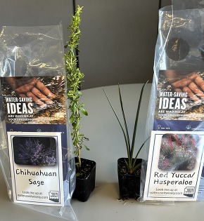 SRP Expo WUIW Plant Giveaway