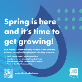 WPIW Graphic Spring