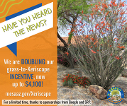 grass to xeriscape funding increase
